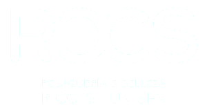 Pelquería Ricci’s logo